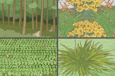 How to Conserve Soil