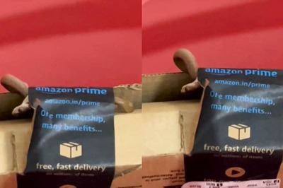 Bengaluru Couple Receives Live Cobra Instead Of Xbox Controller Ordered From Amazon
