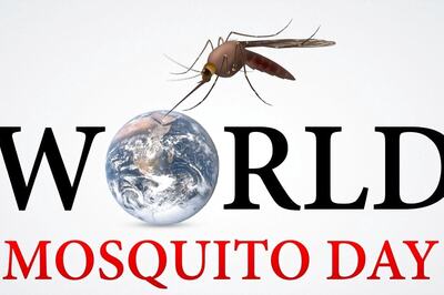 World Mosquito Day 2024: Malaria Symptoms, Treatment, and Prevention