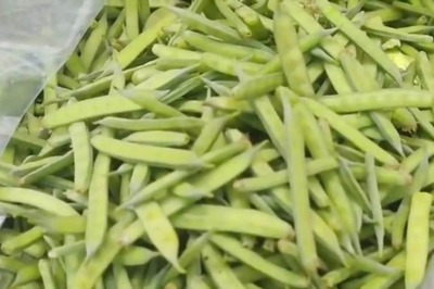 Kakdi To Kachri, 3 Vegetables Found In Rajasthan That Are Locals’ Favourite In Summer