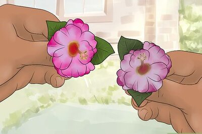 How to Securely Place a Flower in Your Hair