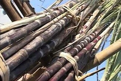 Is it a good time for sugar companies?