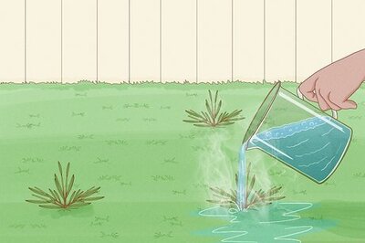 How to Remove and Prevent Weeds in Artificial Grass