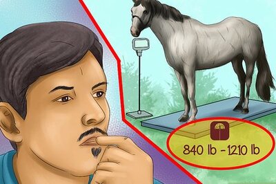 How to Feed a Horse Magnesium