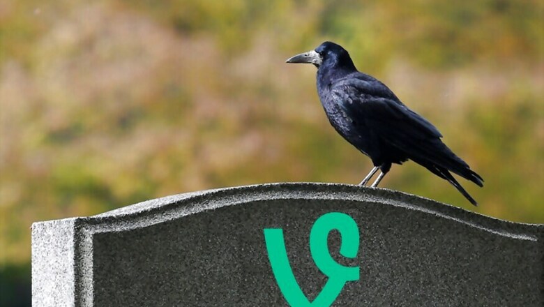 Twitter Kills Vine: Here are 10 Best Vines You Can't Miss