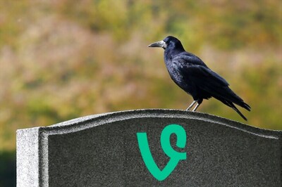 Twitter Kills Vine: Here are 10 Best Vines You Can't Miss