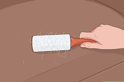 How to Get Dog Hair off Furniture