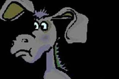 Candidate comes to file papers riding donkey