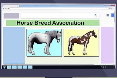 How to Register a Horse
