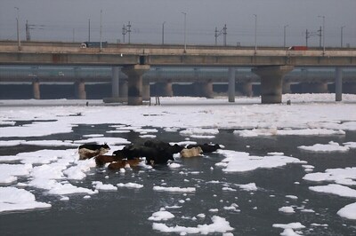 World Water Day: Yamuna In Delhi Gets No Fresh Water Except During Monsoon
