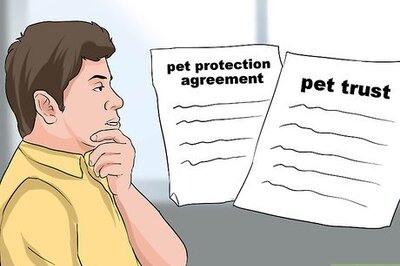 How to Choose Between a Pet Protection Agreement and a Pet Trust