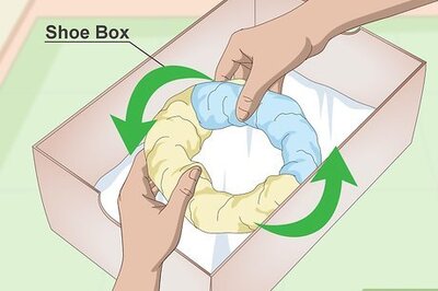 How to Create an Egg Incubator for Wild Bird Eggs