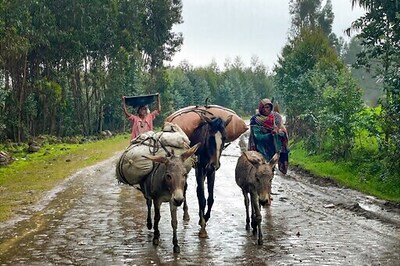 UN Says Large Quantities Of Food Looted In Northern Ethiopia