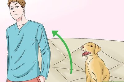 How to Stop Dogs Licking You