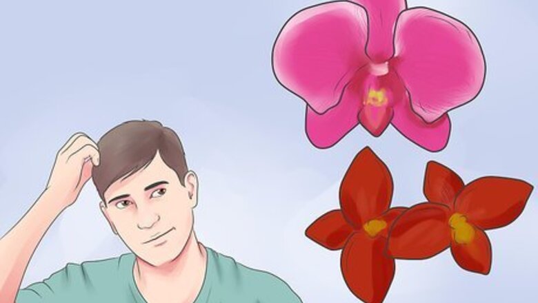 How to Care for an Orchid Indoors