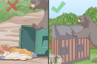 How to Keep Bears Away