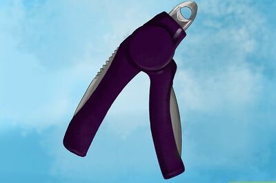 How to Choose Nail Trimmers for Your Cat