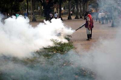 Greater Chennai Corporation to Begin Fogging to Combat Dengue