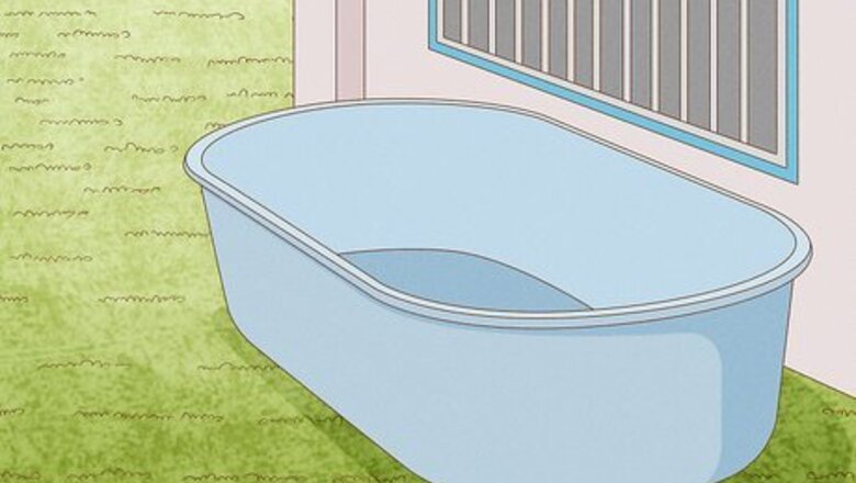 How to Grow Water Chestnuts