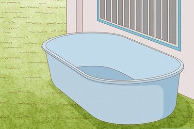 How to Grow Water Chestnuts