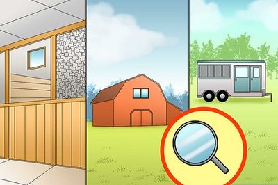 How to Avoid Poisoning Your Horse
