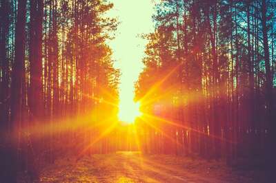 Aaj Ka Panchang, February 11, 2024: Tithi, Vrat, and Today’s Shubh, Ashubh Muhurat