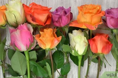 How to Arrange Roses