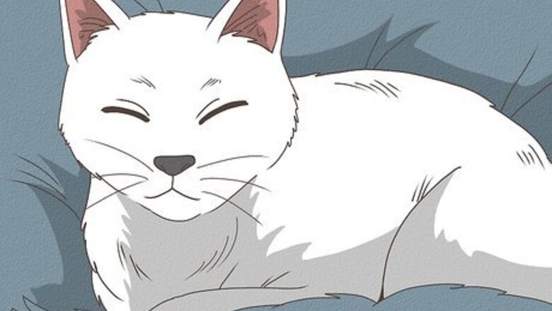 How to Cut a Cat’s Nails: Vet-Approved Tips