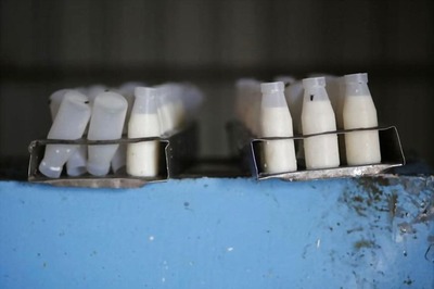 Cheap Beef & Wasted Milk: US Agriculture Struggles With Coronavirus