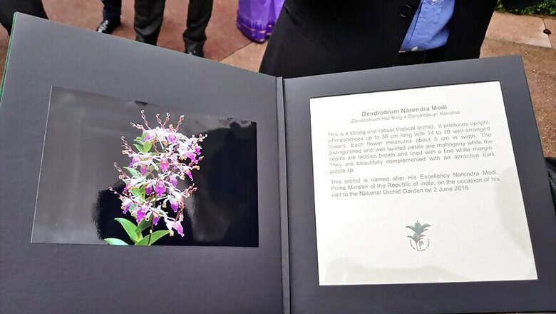 Dendrobrium Narendra Modi — Orchid Named After PM in Singapore