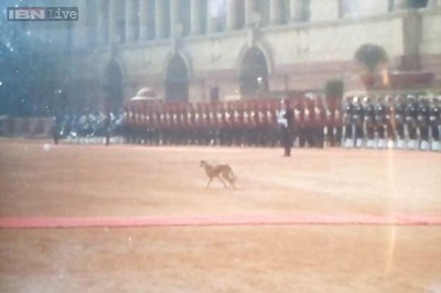 Dog takes a stroll at Rashtrapati Bhawan just before Obama's guard of honour