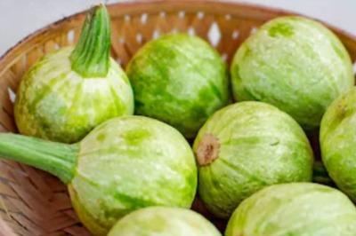 Why Round Gourd Should Be Your Go-to Vegetable This Monsoon