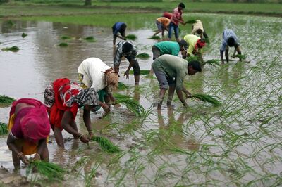 Karnataka Assembly Passes Amendment to Land Reforms Act, Makes it Easy to Buy Farm Land