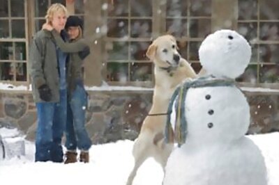 Answers and winners of Really Tough Movie Quiz