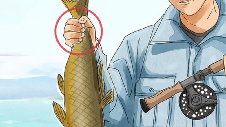 How to Unhook a Fish