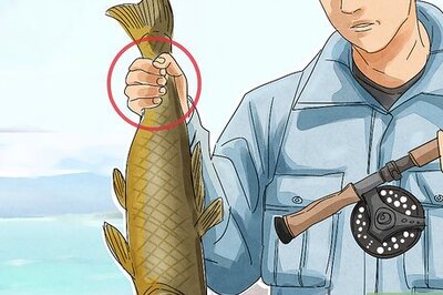 How to Unhook a Fish