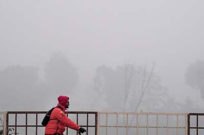 While Dense Fog Blinds Northwest India, IMD Issues Cold Wave Warning till January 20