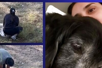 Watch: Actress Divya Spandana's Birthday Celebrations With Pet Dogs Is The Most Adorable Thing