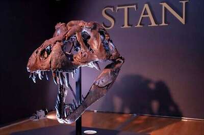 An Auction House With Good Bones: Stan The T Rex Is For Sale