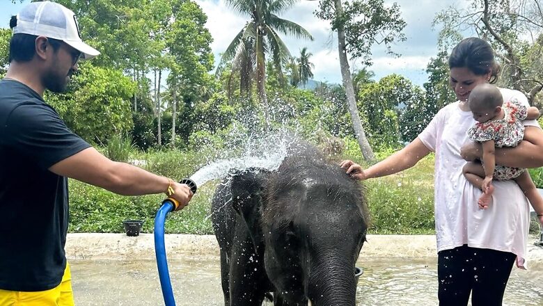Ram Charan Bathes Baby Elephant In Thailand, Wife Upasana And Daughter Klin Kaara Join Him | Photos