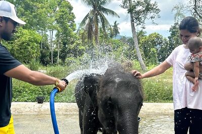 Ram Charan Bathes Baby Elephant In Thailand, Wife Upasana And Daughter Klin Kaara Join Him | Photos