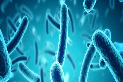 New Study Claims Good Viruses Can be Turned Into Weapons to Fight Bacteria