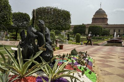 Amrit Udyan To Open On Friday; 225-year-old Sheesham Tree, Floral Clock Among Key Attractions