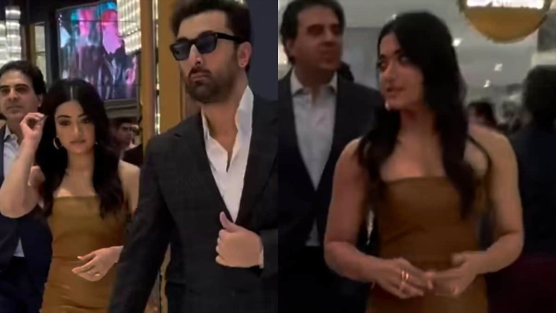 Sexy! Rashmika Mandanna Flaunts Her Curves in Hot Dress at Animal Premiere, Watch Viral Video