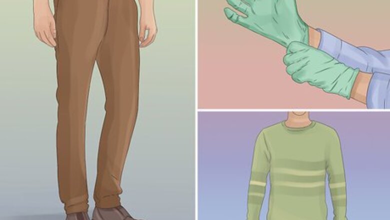 How to Treat a Dog for Rabies