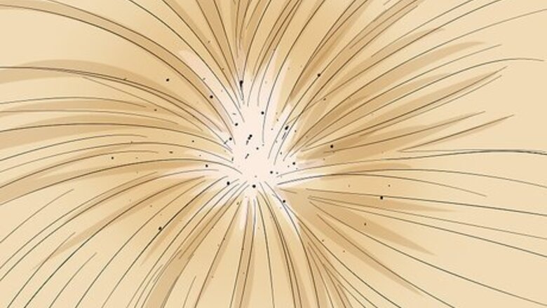 How to Deal with Persistent Feline Flea Problems