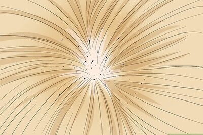 How to Deal with Persistent Feline Flea Problems