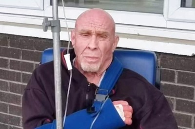 UK Man Survives Venomous Insect Bite; Discovers 500 Widow Spiders Living In His House