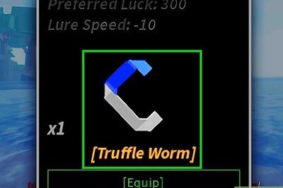 The Best Bait You Can Use in Fisch + How to Get Them