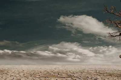 Climate Change Made July Hotter for 4 of 5 Humans on Earth, Scientists Find